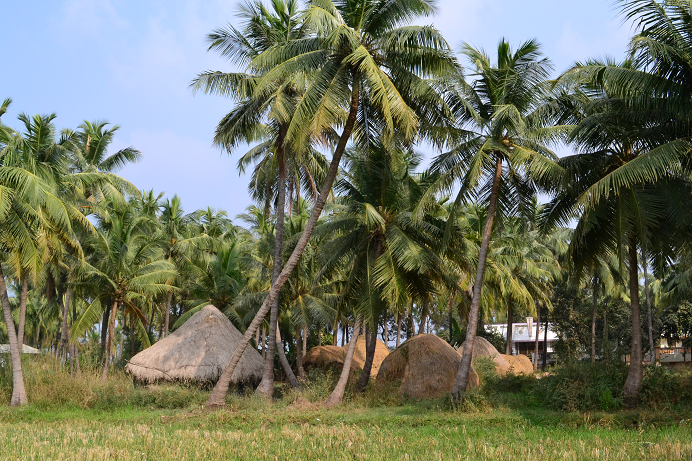 Chinakapavaram-vg6