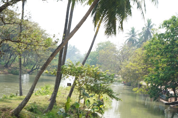 janwada2 janwada2