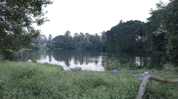 kandlakoya3 kandlakoya3