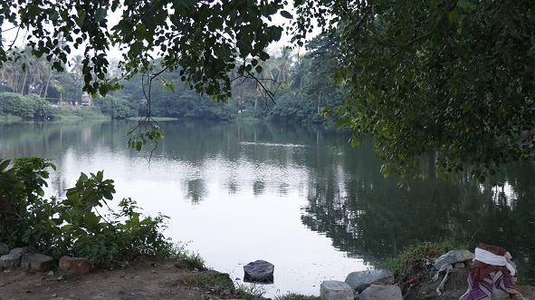 kandlakoya4 kandlakoya4