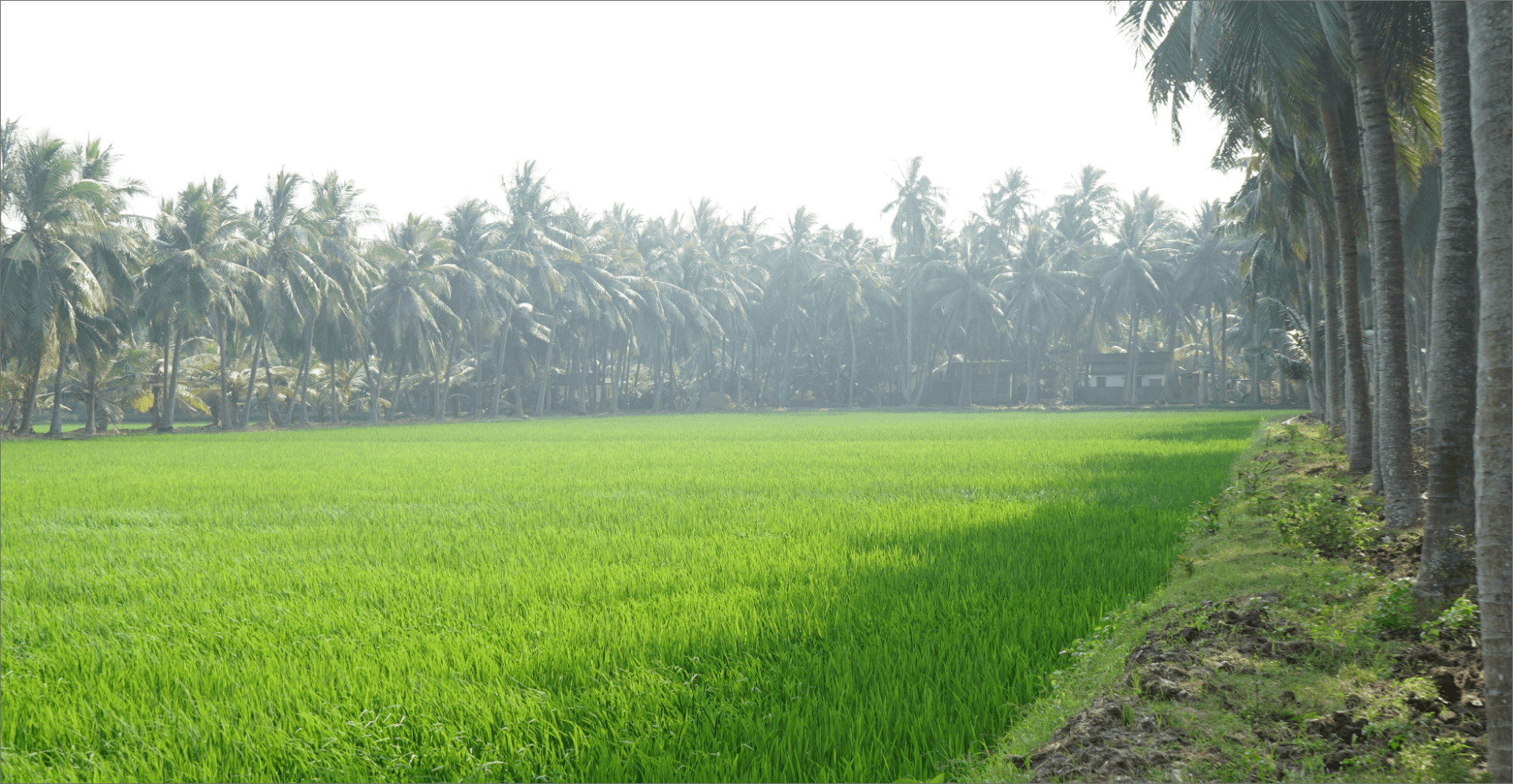 khandavalli-bnr