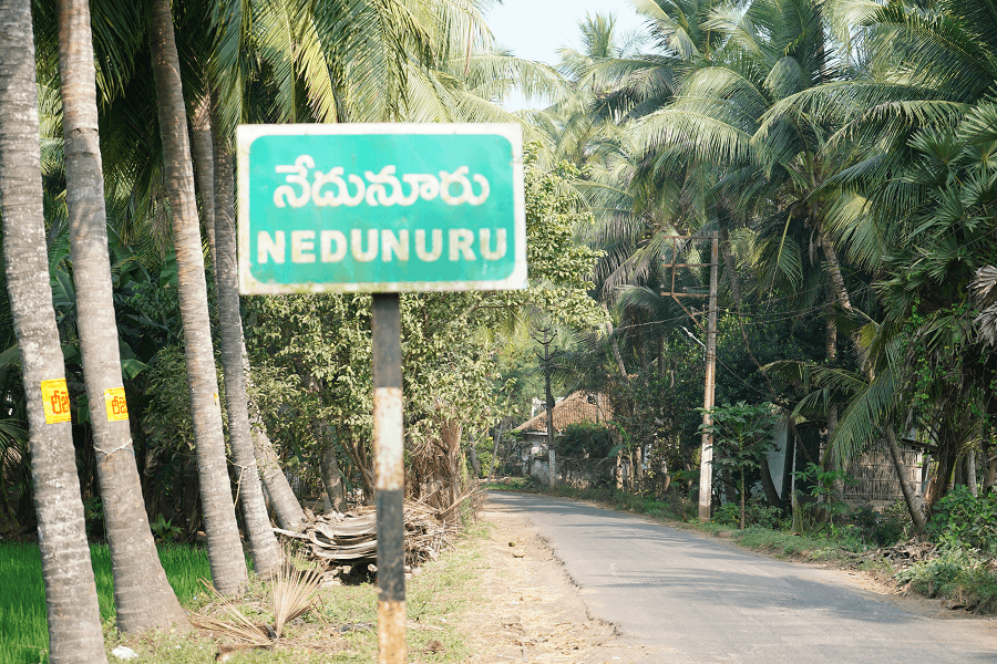 nedunuru2