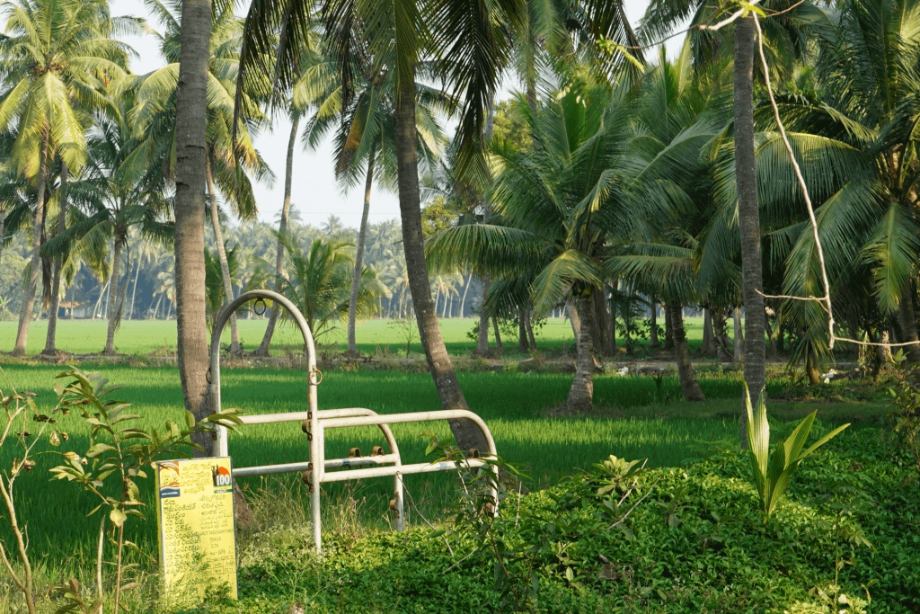 venkatapuram1